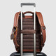 Рюкзак для ноутбука Piquadro Cronus (S134) Brown CA6687S134_M картинка, зображення, фото