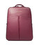 Рюкзак для ноутбука Piquadro Ashley (W134) Bordeaux CA6455W134_BO фото, картинка, изображение