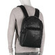 Рюкзак для ноутбука Piquadro Carl (S129) Black CA6301S129_N картинка, зображення, фото