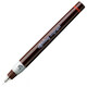 Ізограф Rotring RG 0,25 мм R1903398 картинка, зображення, фото