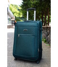 Валіза Wings 1701 маленька S зелена 2 колесна картинка, зображення, фото