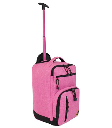Валіза Bordlite JBTB89 Xs рожева 40×25×20 см картинка, зображення, фото