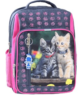 Рюкзак шкільний Bagland Школяр 8 л. 321 сiрий 143 д (0012870) фото, картинка, изображение