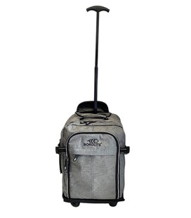 Валіза Bordlite JBTB 95 Xs сіра 40×25×20 см картинка, зображення, фото