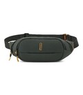 Сумка на пояс Roncato Norway 414208/57 картинка, зображення, фото