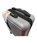 Валіза Easy Move 005 XS 40x30x20 срібна - картинка, зображення, фото валізи