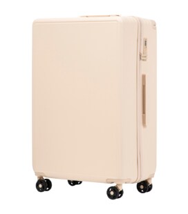 Чемодан Wings BNT01 большой L кремовый фото, картинка, изображение