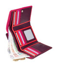Гаманець жіночий Visconti RB43 Bora c RFID (Plum Multi) картинка, зображення, фото