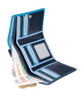 Кошелек женский Visconti RB43 Bora c RFID (Blue Multi) фото, картинка, изображение
