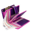 Гаманець жіночий Visconti RB51 Fiji c RFID (Berry Multi) картинка, зображення, фото
