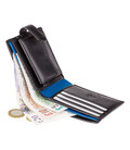 Кошелек мужской Visconti PM100 Vincent c RFID (Black Cobalt) фото, картинка, изображение