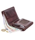 Гаманець чоловічий Visconti TSC44 Lucca c RFID (Brown) картинка, зображення, фото