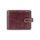 Гаманець чоловічий Visconti TSC47 Riccardo c RFID (Brown) картинка, зображення, фото