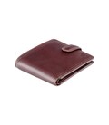 Гаманець чоловічий Visconti TSC47 Riccardo c RFID (Brown) картинка, зображення, фото