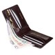 Гаманець чоловічий Visconti TSC46 Francesca c RFID (Brown) картинка, зображення, фото