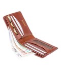 Кошелек мужской Visconti TSC46 Francesca c RFID (Tan) фото, картинка, изображение