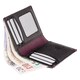 Кошелек мужской Visconti AP60 Thun (Black Burgundy) фото