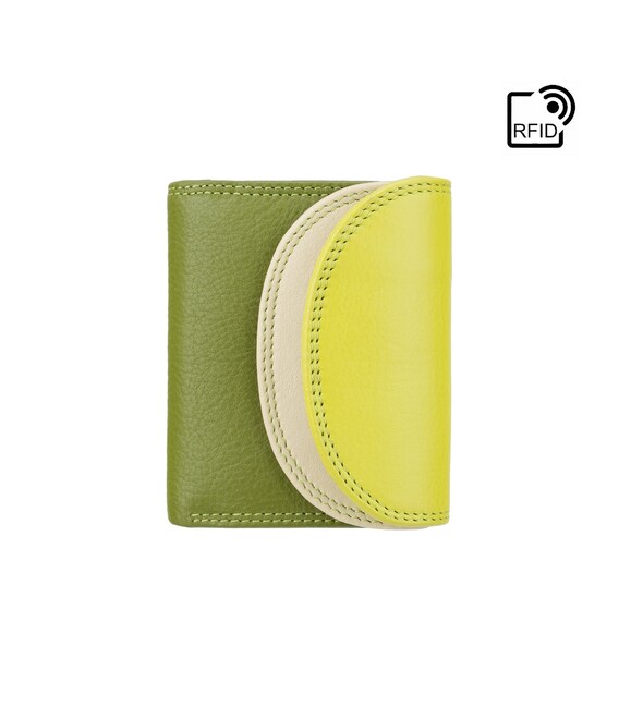Кошелек женский Visconti RB126 Zanzibar (Lime Multi) фото
