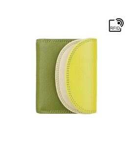 Гаманець жіночий Visconti RB126 Zanzibar (Lime Multi) картинка, зображення, фото