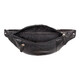 Сумка на пояс Visconti 721 Bumbag Large (Black) картинка, зображення, фото