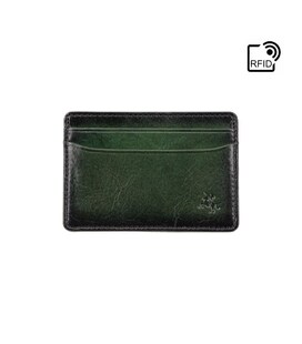 Картхолдер Visconti AT54 GREEN картинка, зображення, фото
