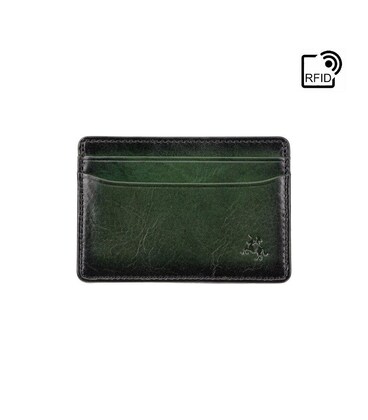 Картхолдер Visconti AT54 Evan (Burnish Green) фото, картинка, изображение