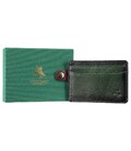 Картхолдер Visconti AT54 GREEN картинка, зображення, фото