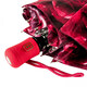Парасолька жіноча Fulton L346-020388 Open & Close-4 Photo Rose Red картинка, зображення, фото