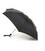 Парасолька Fulton Open&Close-101 L369 Black (Чорний) картинка, зображення, фото