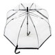 Парасолька жіноча Fulton L041-015605 Birdcage-1 Black картинка, зображення, фото