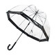 Парасолька жіноча Fulton L041-015605 Birdcage-1 Black картинка, зображення, фото