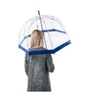 Парасолька-тростина жіноча Fulton Birdcage-1 L041 Navy (Синій) картинка, зображення, фото