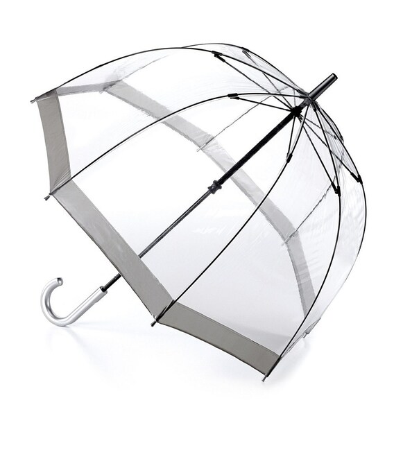Парасолька жіноча Fulton L041-015599 Birdcage-1 Silver картинка, зображення, фото