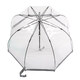 Парасолька жіноча Fulton L041-015599 Birdcage-1 Silver картинка, зображення, фото