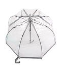 Парасолька жіноча Fulton L041-015599 Birdcage-1 Silver картинка, зображення, фото