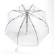 Парасолька жіноча Fulton L041-015582 Birdcage-1 White картинка, зображення, фото
