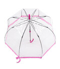 Зонт-трость женский Fulton Birdcage-1 L041 Pink (Розовый) фото, картинка, изображение