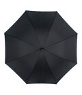 Зонт-трость Fulton Governor-1 G801 Black (Черный) фото, картинка, изображение