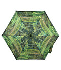Парасолька жіноча Fulton National Gallery Tiny-2 L794 Water Lily Pond (Пруд) картинка, зображення, фото