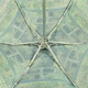 Парасолька жіноча Fulton National Gallery Tiny-2 L794 Water Lily Pond (Пруд) картинка, зображення, фото