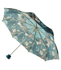 Зонт женский Fulton National Gallery Minilite-2 L849 The Umbrellas (Зонты) фото, картинка, изображение
