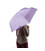 Зонт женский Fulton Soho-1 L793 Lilac (Сиреневый) фото, картинка, изображение