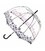 Парасолька-тростина жіноча Fulton Birdcage-2 L042 Flower Love (Любовный цветок) картинка, зображення, фото