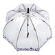 Парасолька-тростина жіноча Fulton Birdcage-2 L042 Flower Love (Любовный цветок) картинка, зображення, фото