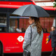 Парасолька-тростина жіноча Fulton Bloomsbury-2 L754-034941 Lynx (Рись) картинка, зображення, фото