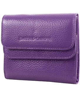 Гаманець жіночий Smith & Canova 28611 Haxey (Purple) картинка, зображення, фото