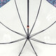 Зонт-трость женский Fulton Birdcage-2 Luxe L866 Luminous Floral (Светящиеся цветы) фото