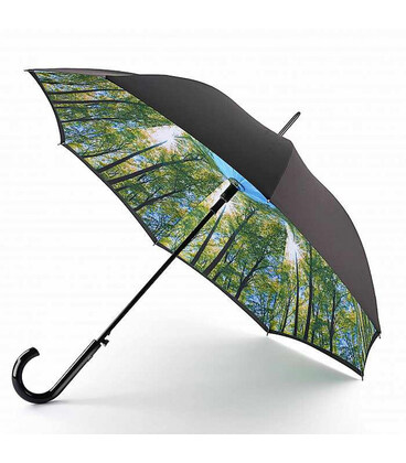 Парасолька-тростина жіноча Fulton Bloomsbury-2 L754-036600 Sunburst (Сонячні промені) картинка, зображення, фото