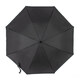 Парасолька-тростина жіноча Fulton Bloomsbury-2 L754-036600 Sunburst (Сонячні промені) картинка, зображення, фото