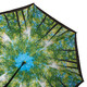 Парасолька-тростина жіноча Fulton Bloomsbury-2 L754-036600 Sunburst (Сонячні промені) картинка, зображення, фото
